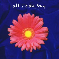 Cover of All I Can Say