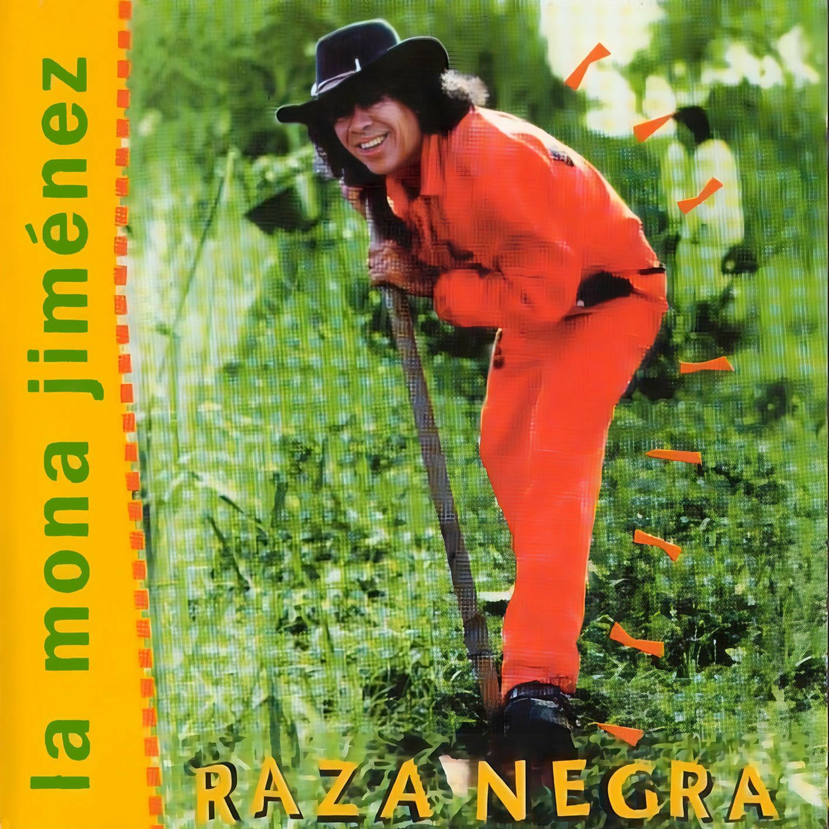 Album cover of Raza Negra