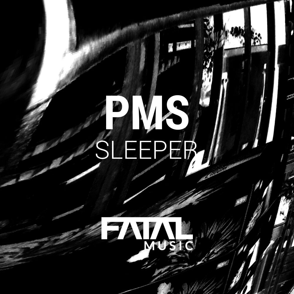 Picture of Sleeper