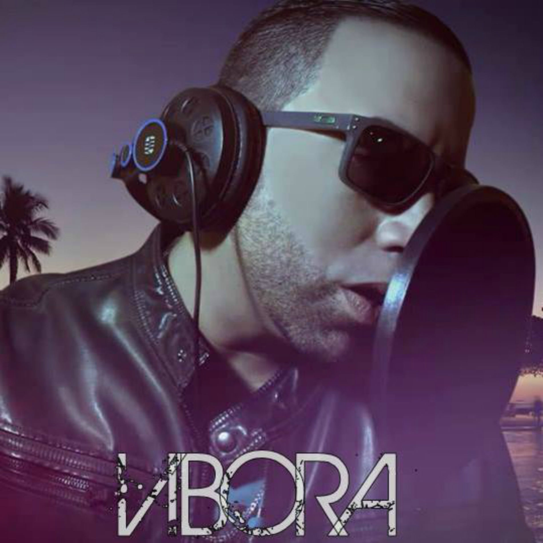 Album cover of Vibora