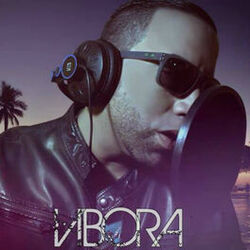 Cover of Vibora