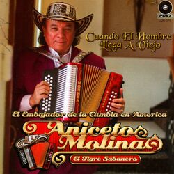 Cover of Cuando El Hombre Llega A Viejo