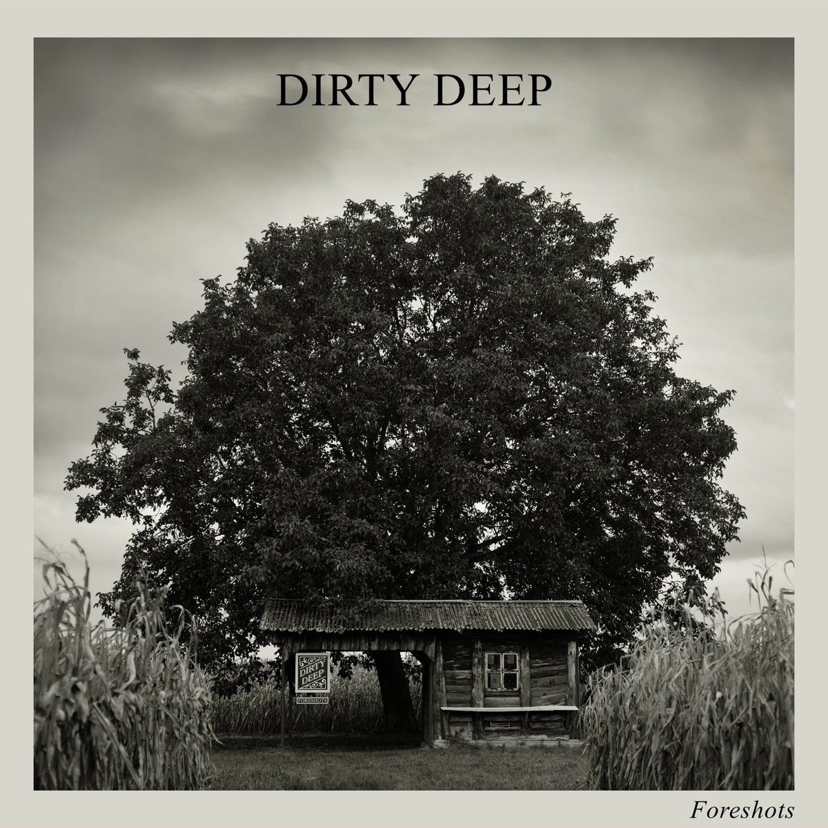 Album cover of In The Woods