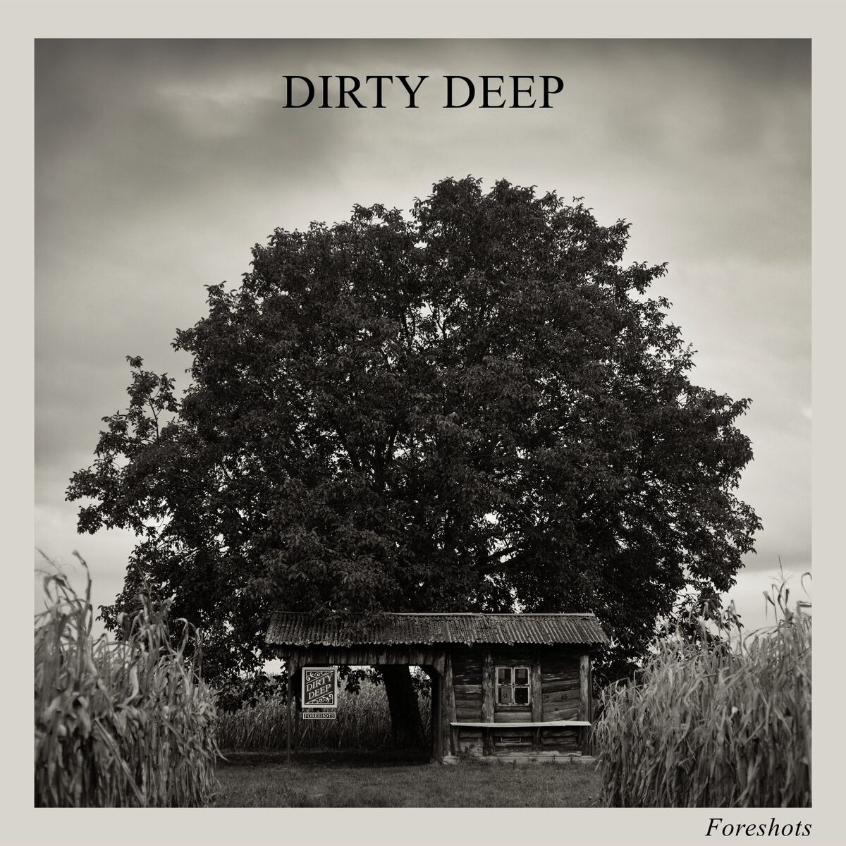 Album cover of Foreshots