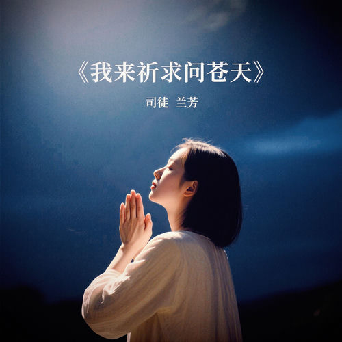 我来祈求问苍天