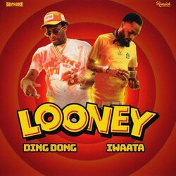 Cover of Looney