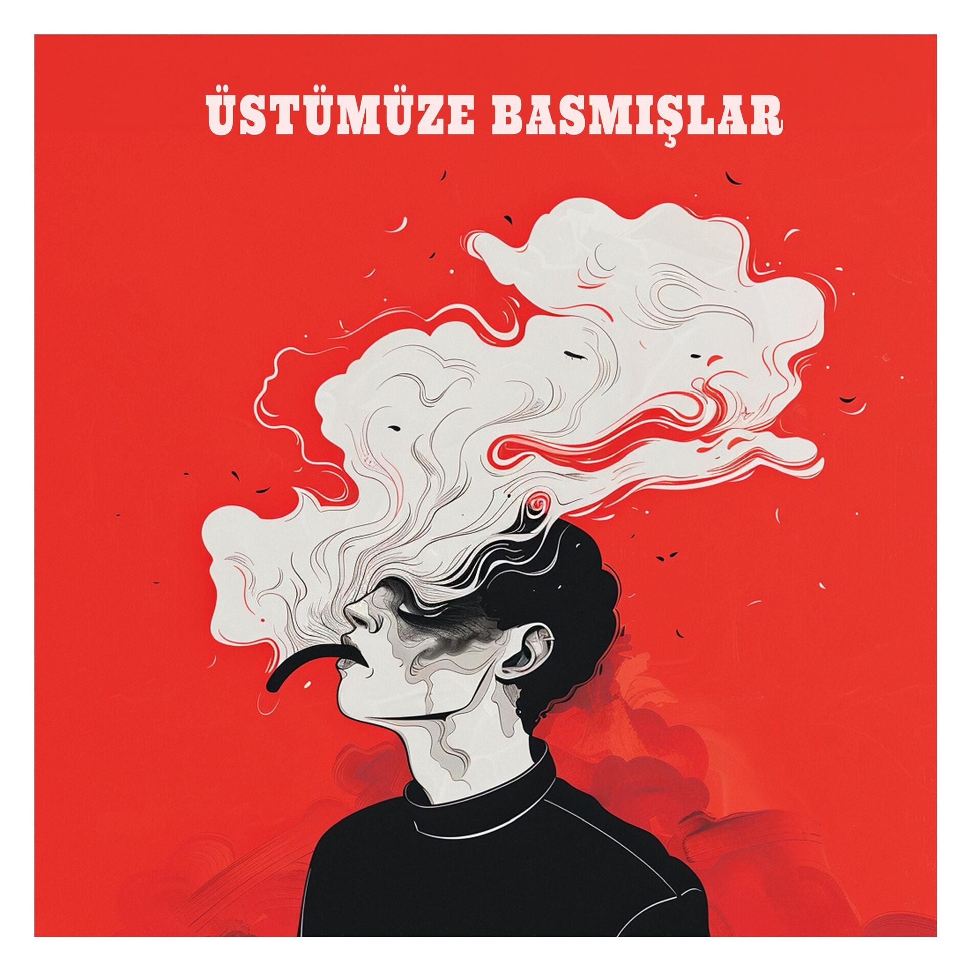 Album cover of Üstümüze Basmışlar