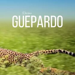 Cover of Guepardo