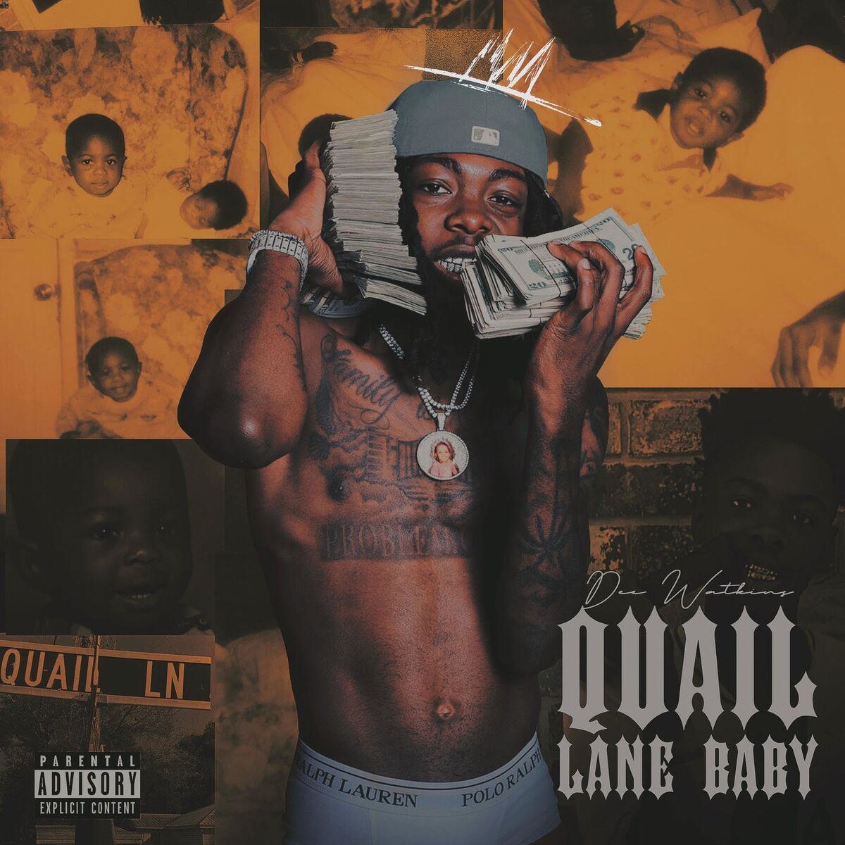 Album cover of Quail Lane Baby