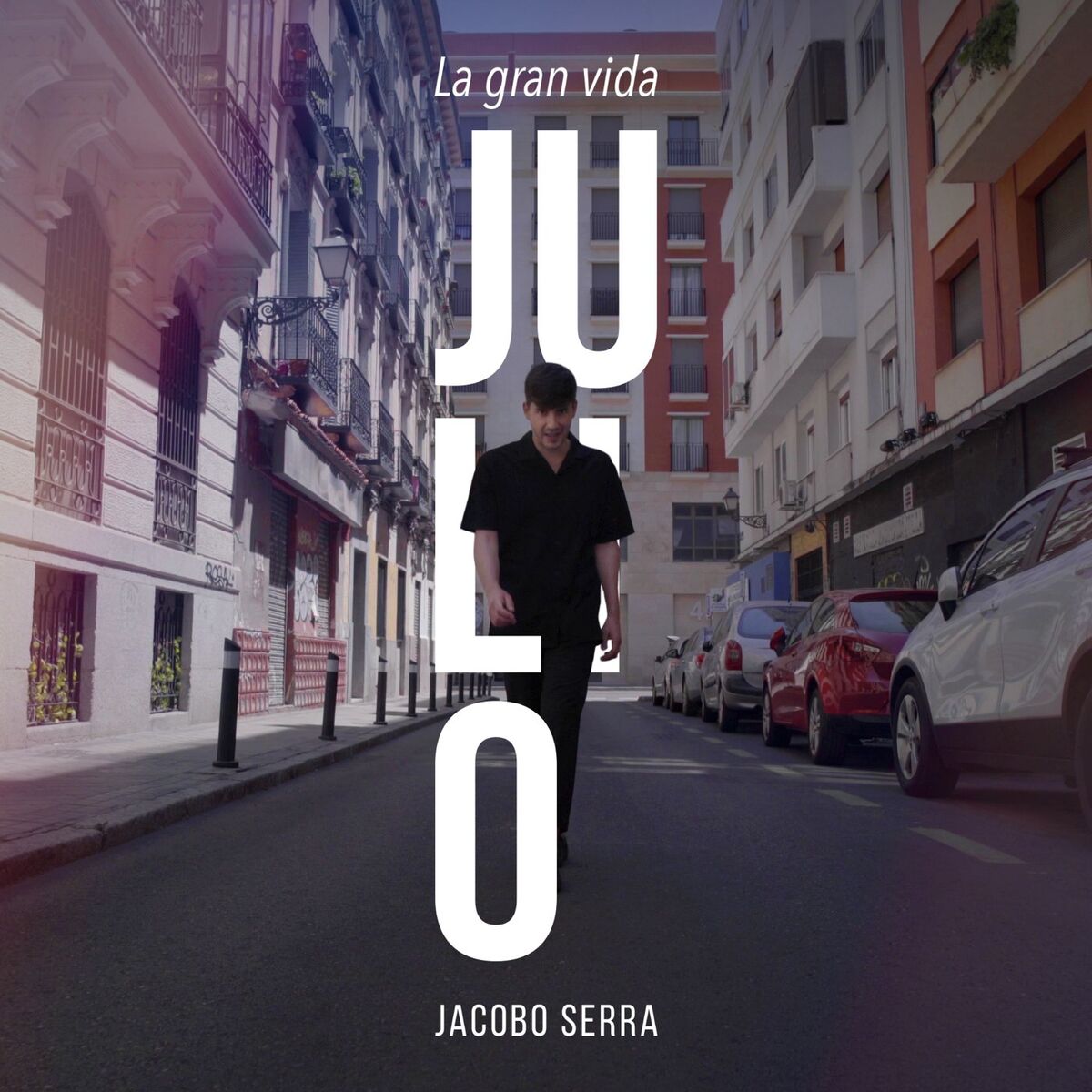 Album cover of Julio - La gran vida