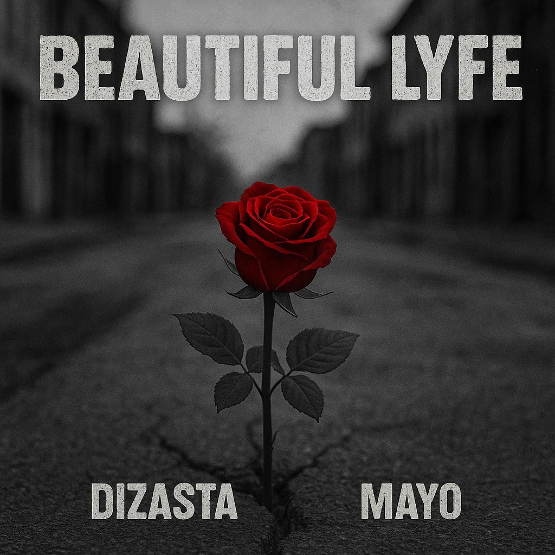 Album cover of Beautiful Lyfe (feat. Mayo)