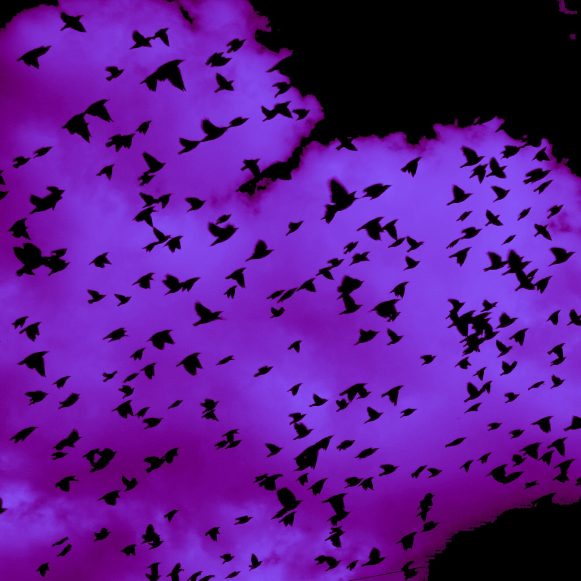 Album cover of Another Love (Sped Up)