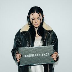 Cover of Regnblöta skor