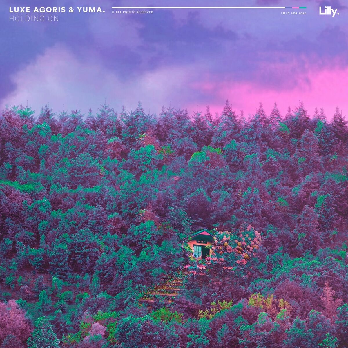 Album cover of Holding On