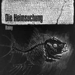 Cover of Die Heimsuchung