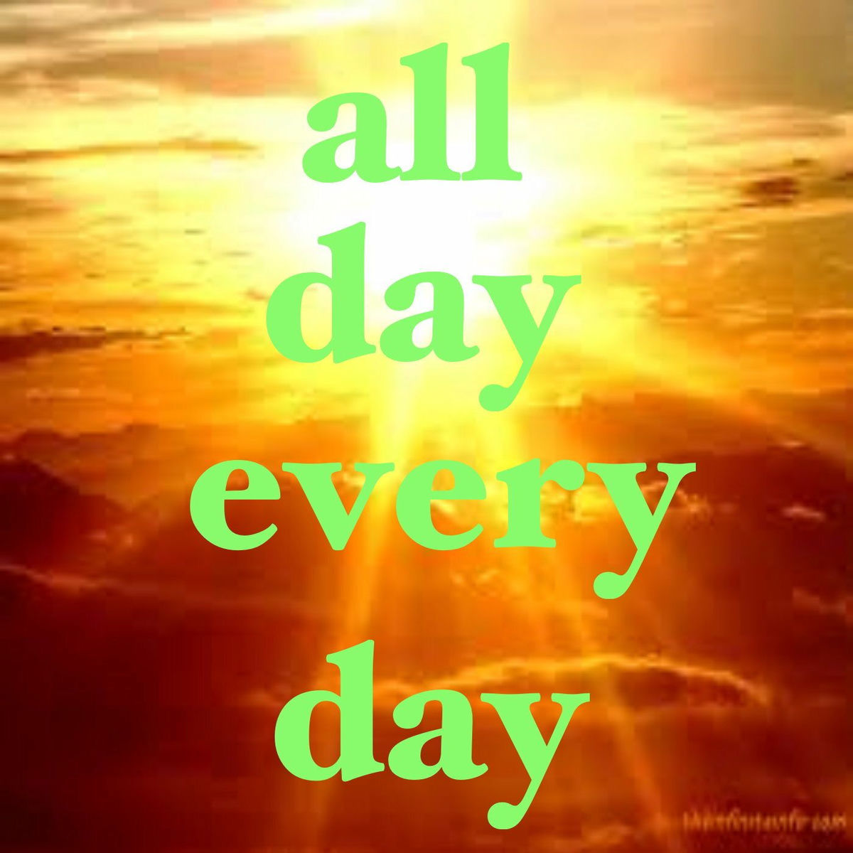Album cover of All Day Every Day