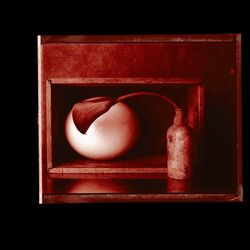 Cover of Nocturnes