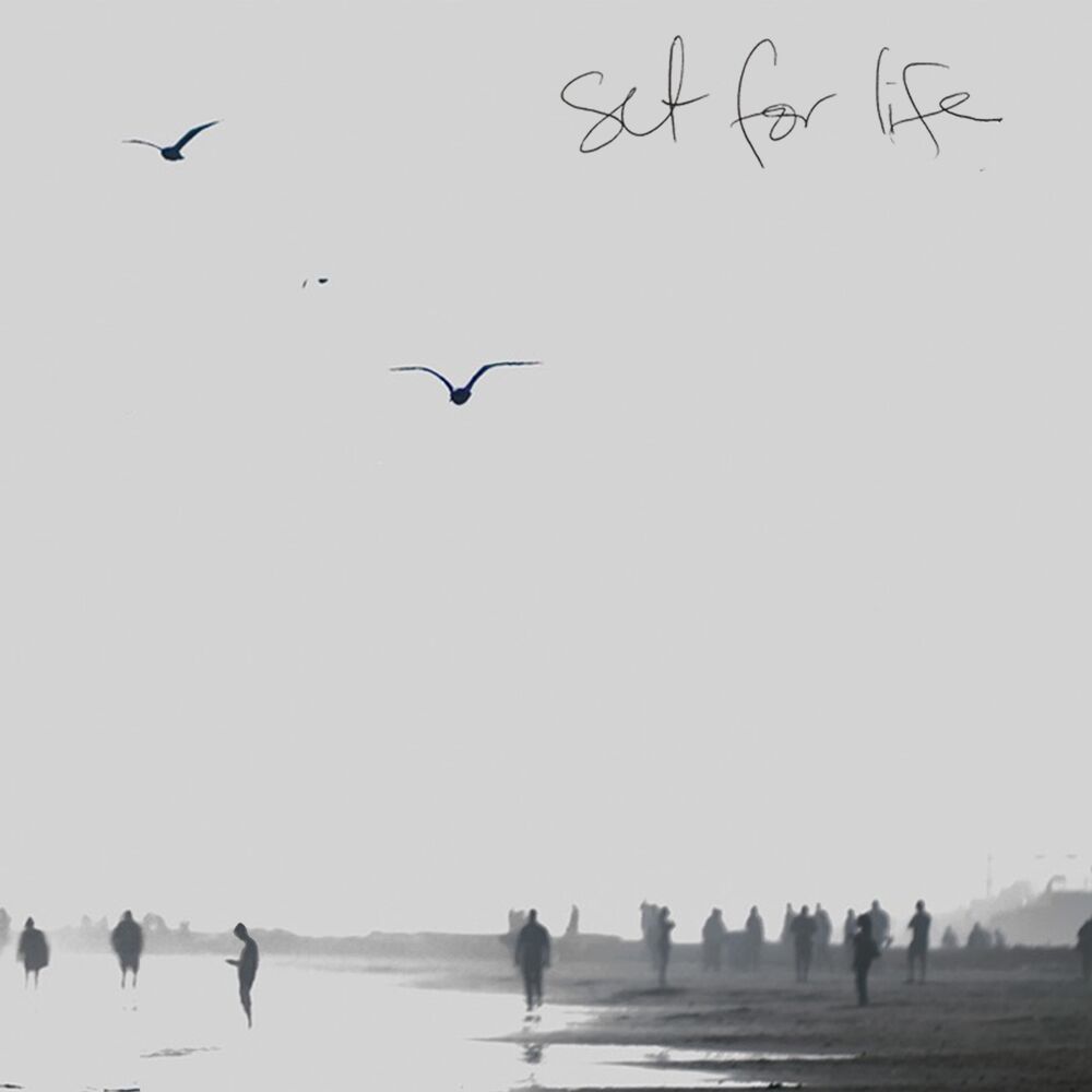 Picture of Set for Life