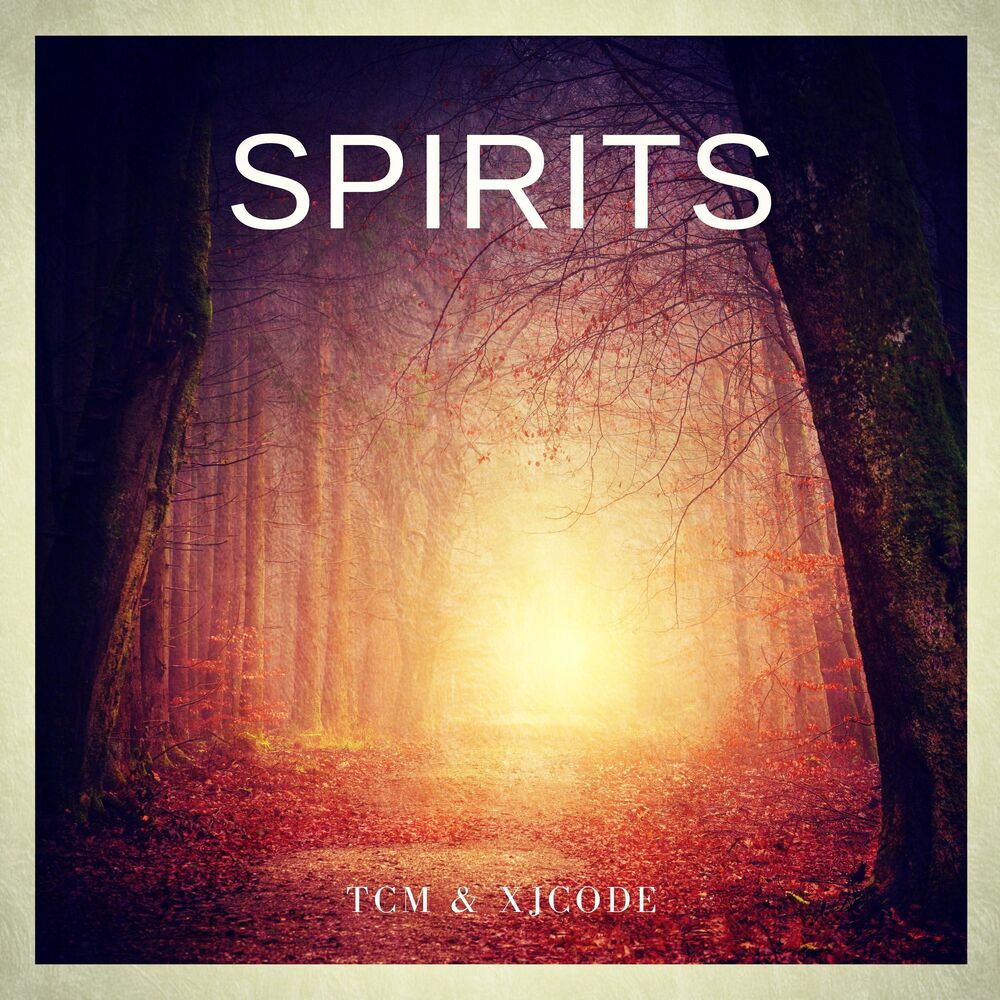 Picture of Spirits