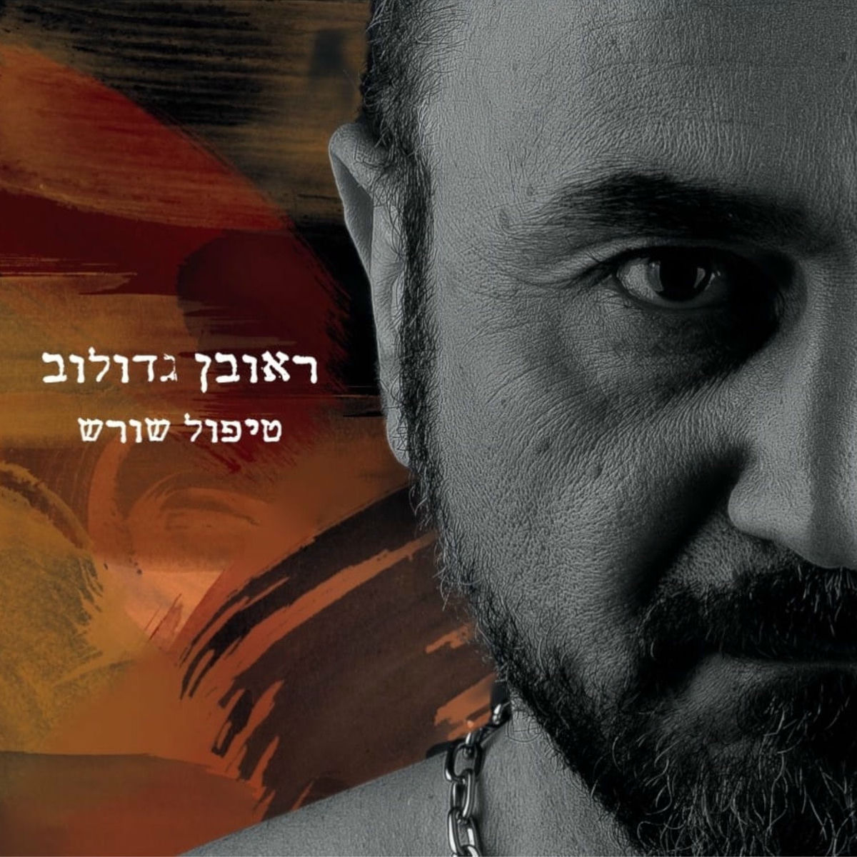 Album cover of טיפול שורש