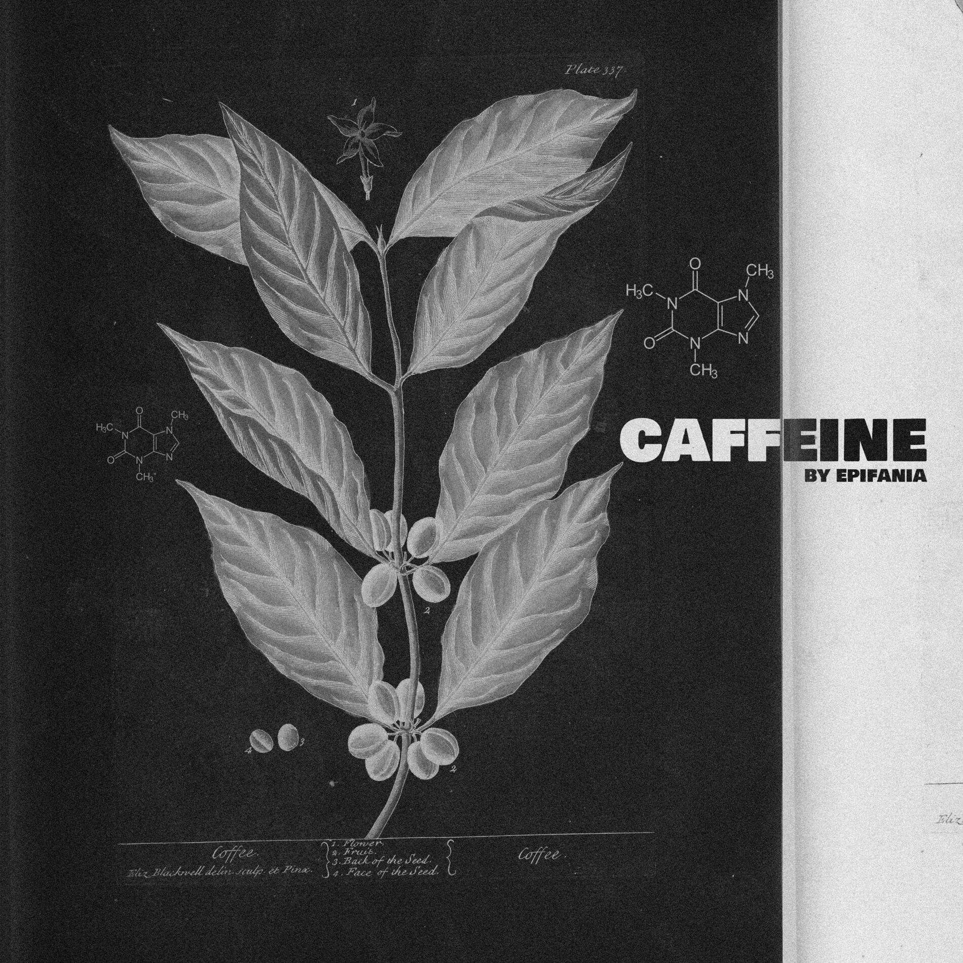 Album cover of Caffeine