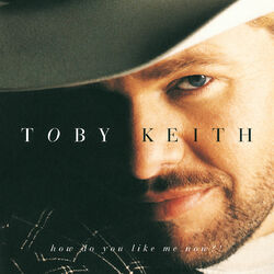 Cover of How Do You Like Me Now?!