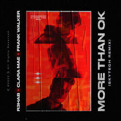 Cover of More Than OK (Skytech Remix)