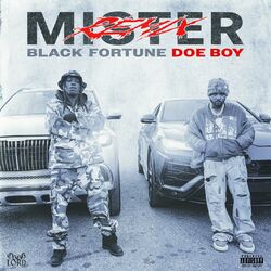 Cover of Mister (Remix)