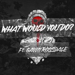 Cover of What Would You Do?