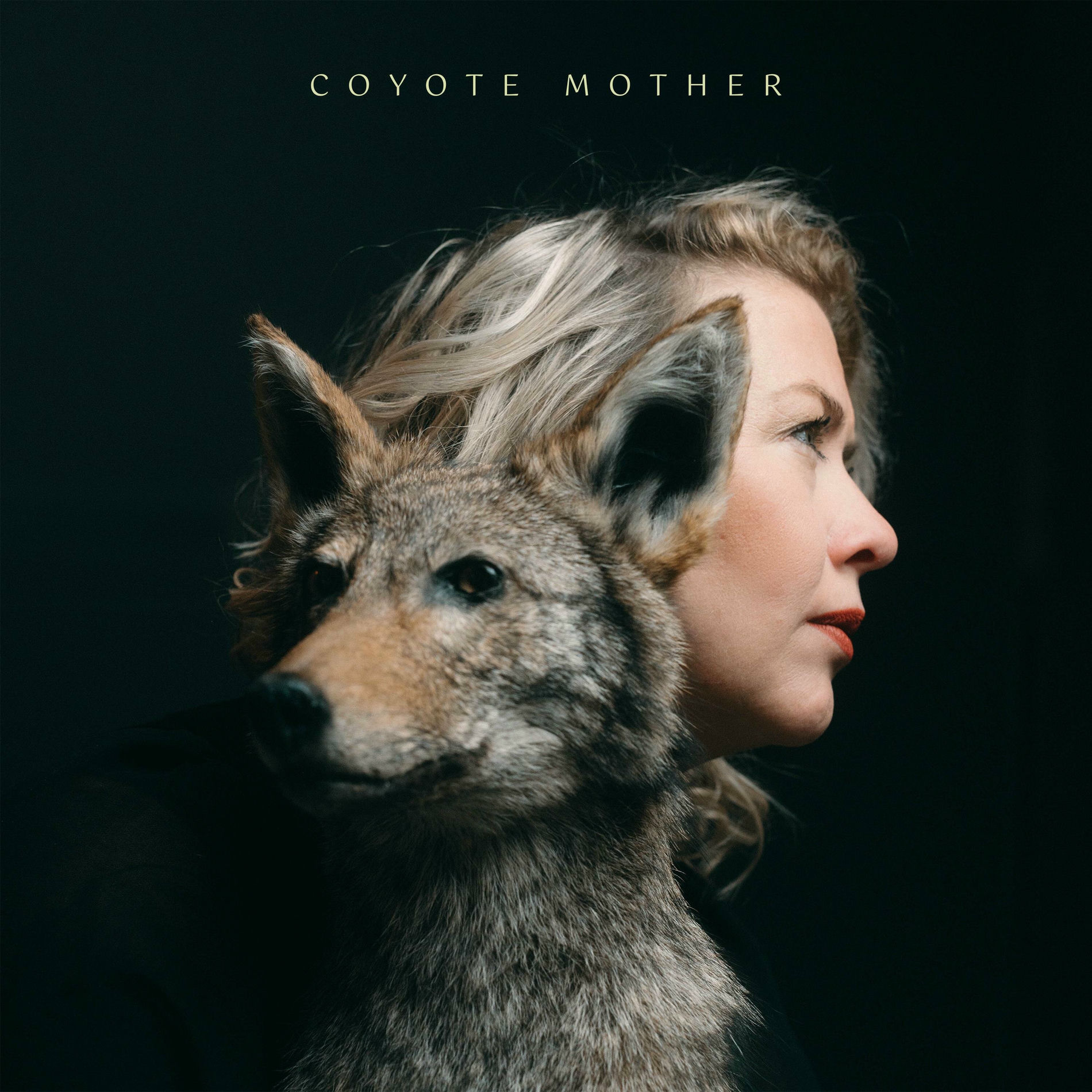 Album cover of Coyote Mother