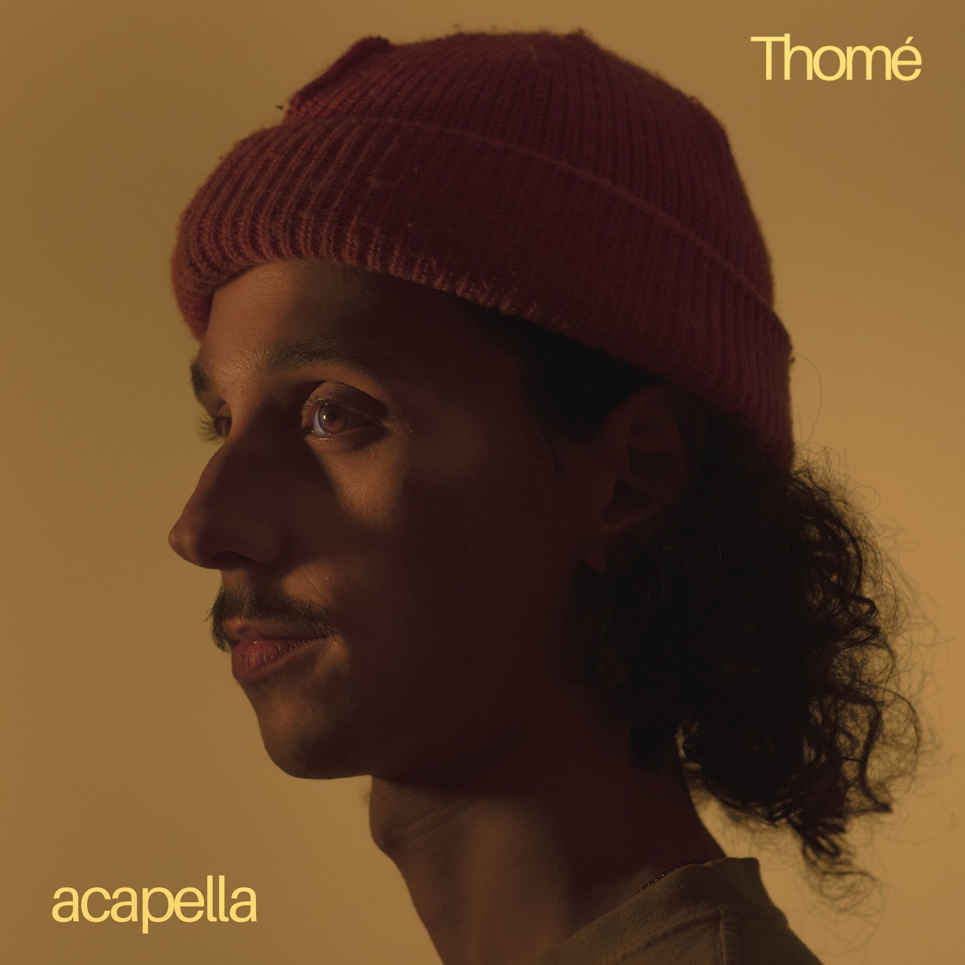 Album cover of Eu Só Quero um Xodó Acapella