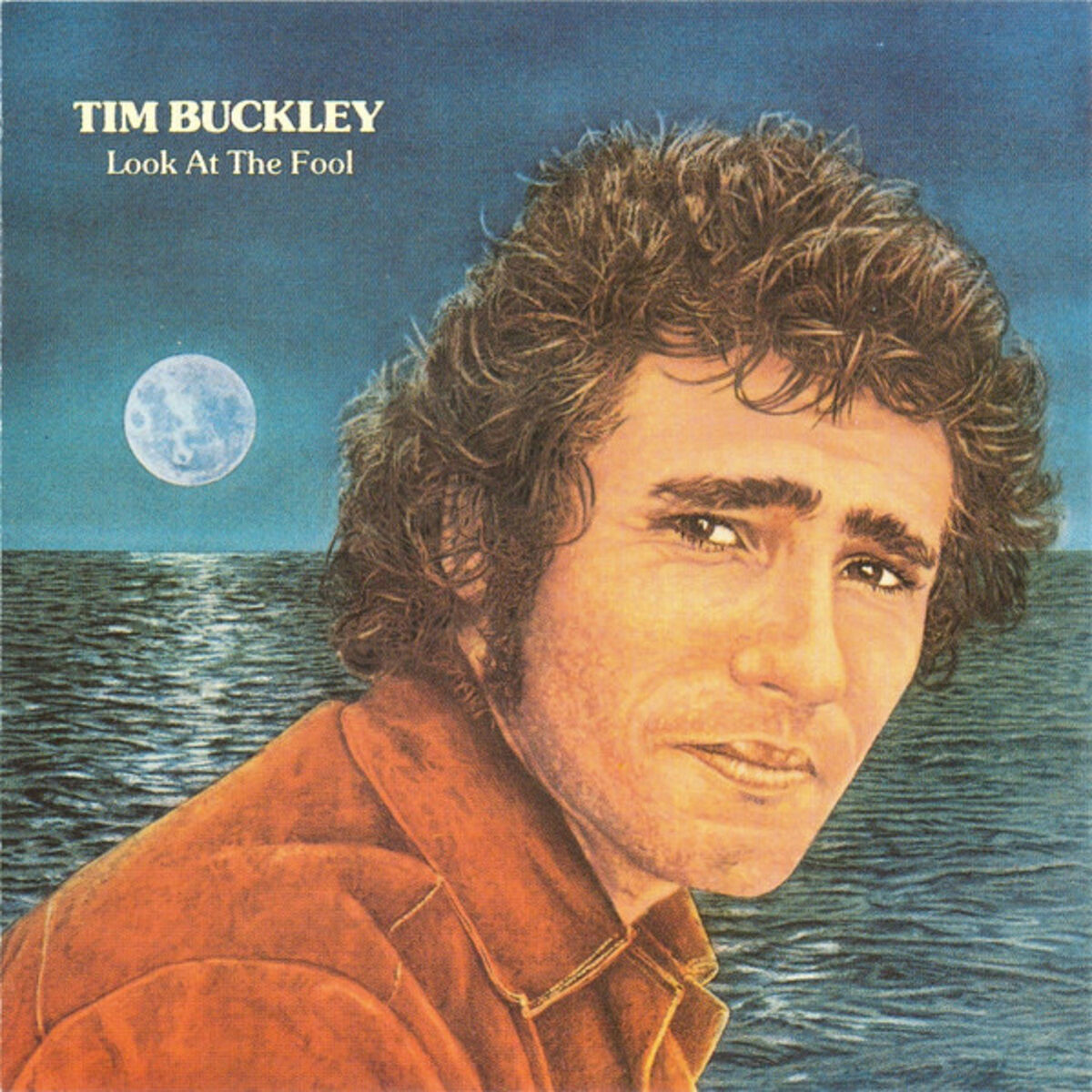 Album cover of Look at the Fool (Remastered)