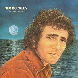 Cover of Look at the Fool (Remastered)