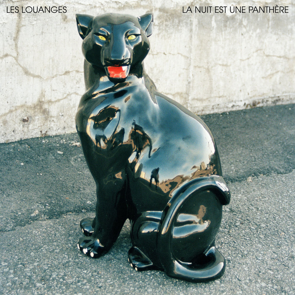 Pochette du titre DMs