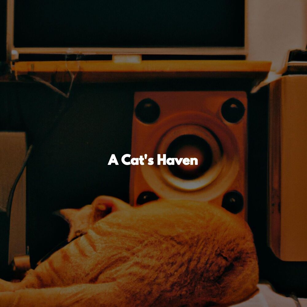 Picture of A Cat's Haven