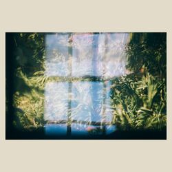 Cover of Music For Growing Flowers