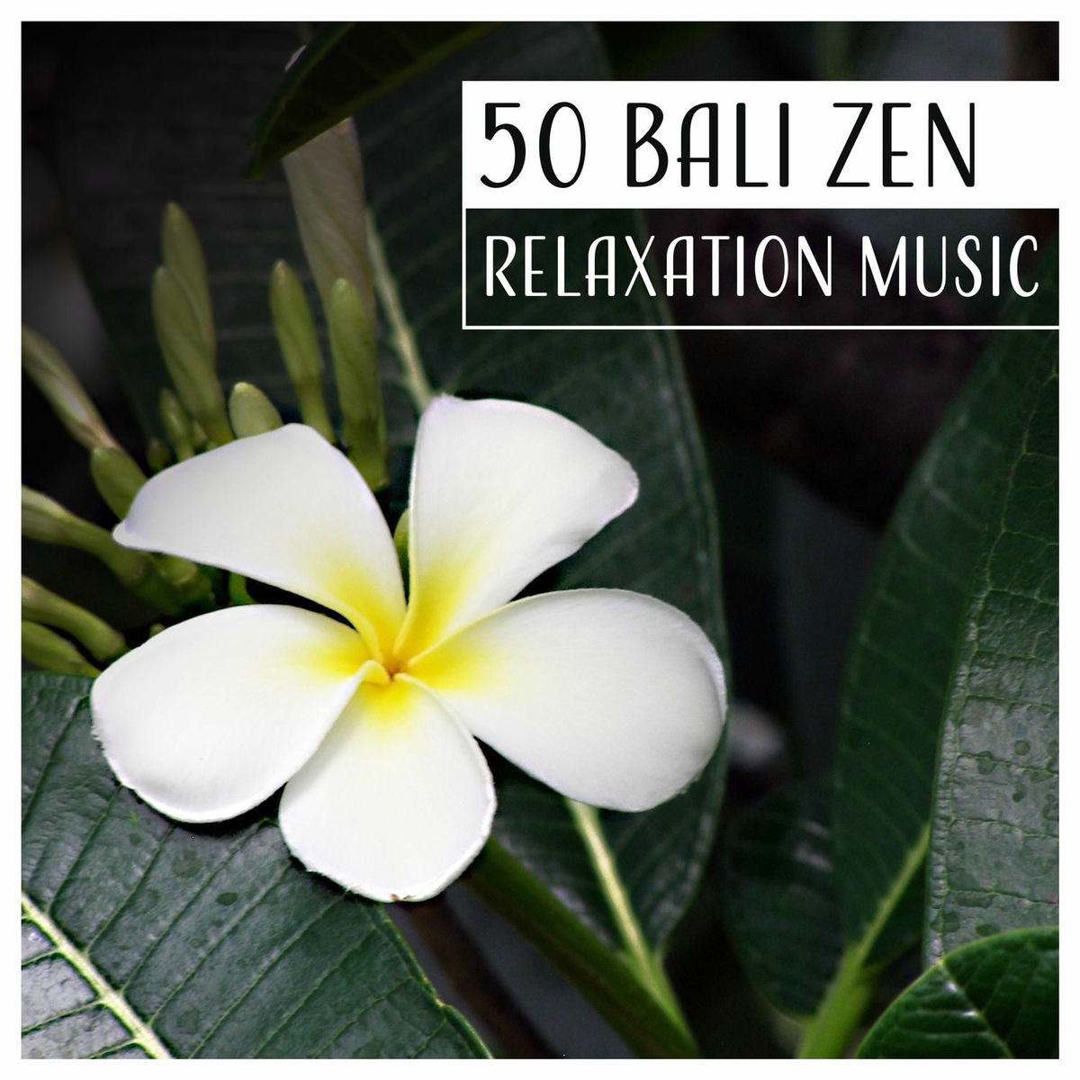Album cover of Bali Zen: Relaxation Music