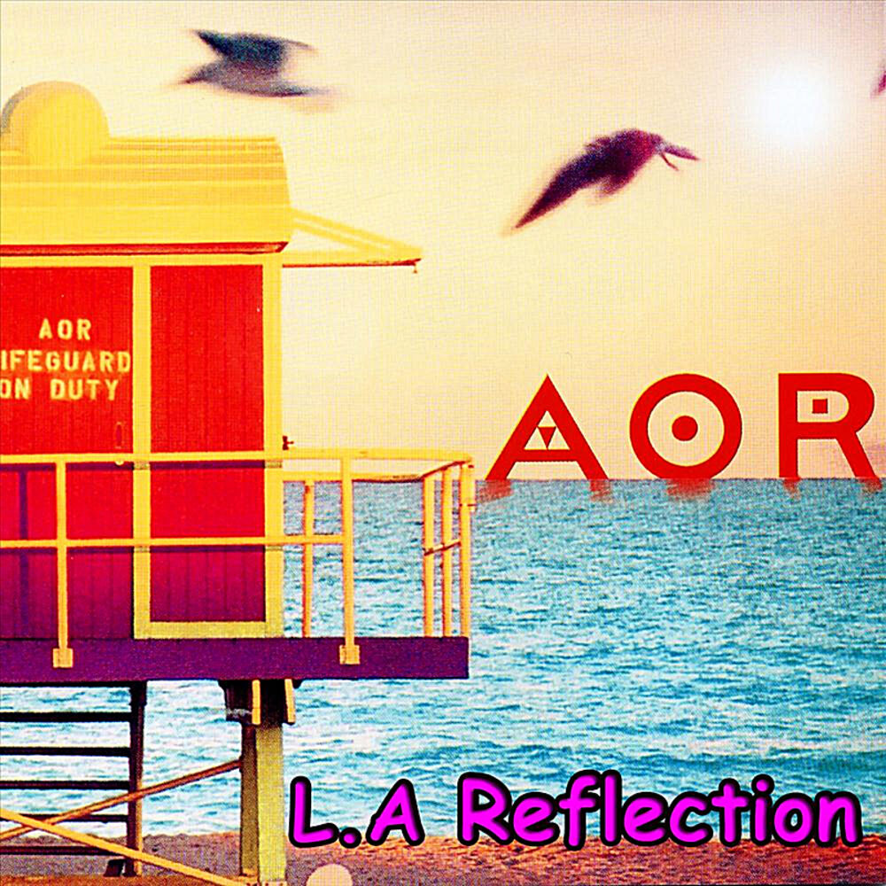 Picture of L.A Reflection