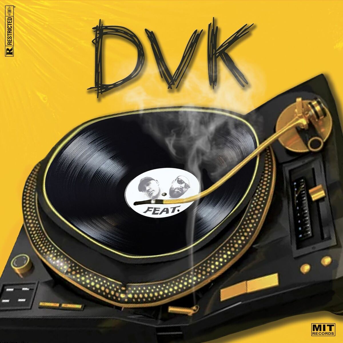 Album cover of DVK FEAT.