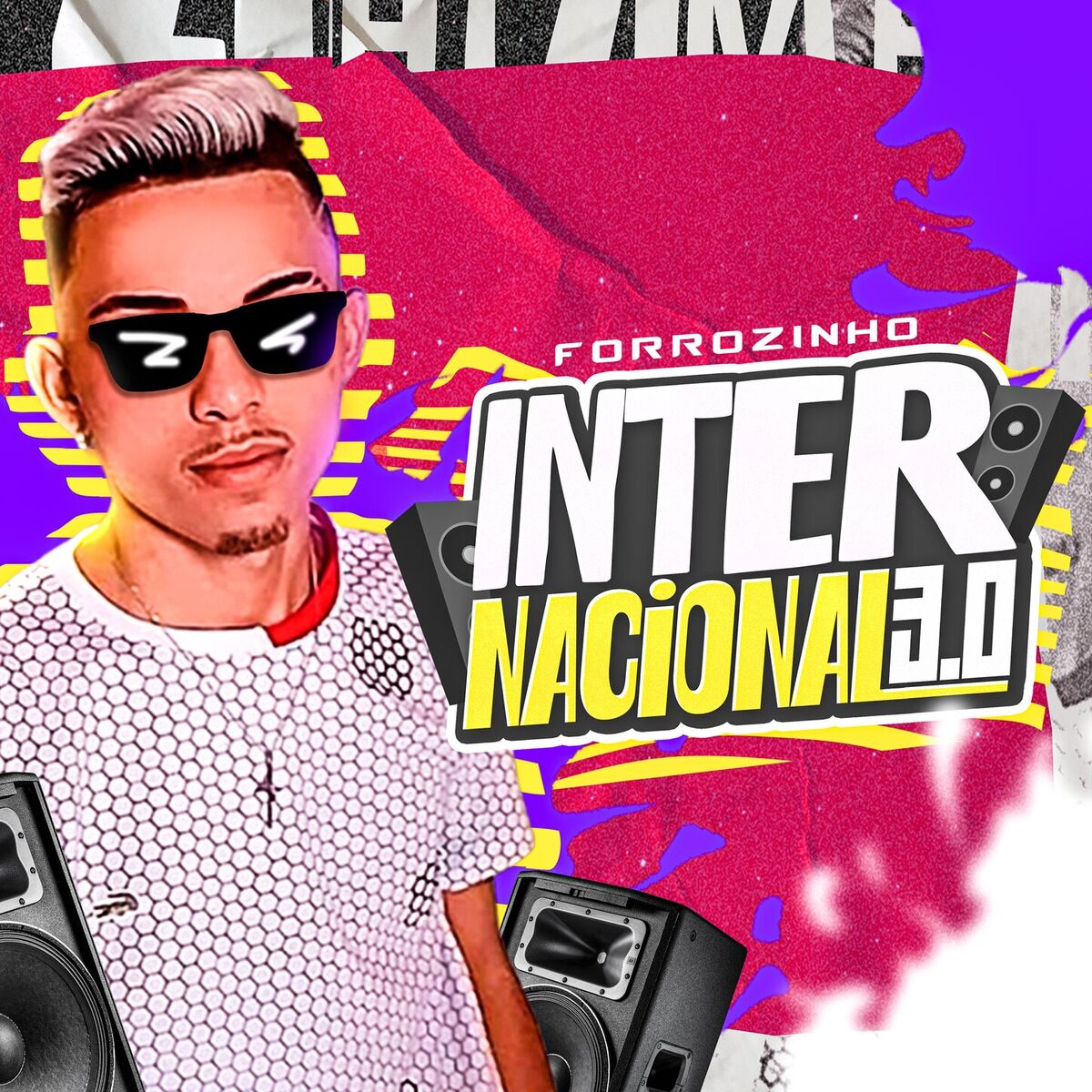 Album cover of Forrozinho Internacional 3.0