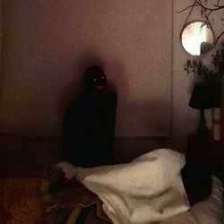 Cover of Can't hide ina dark