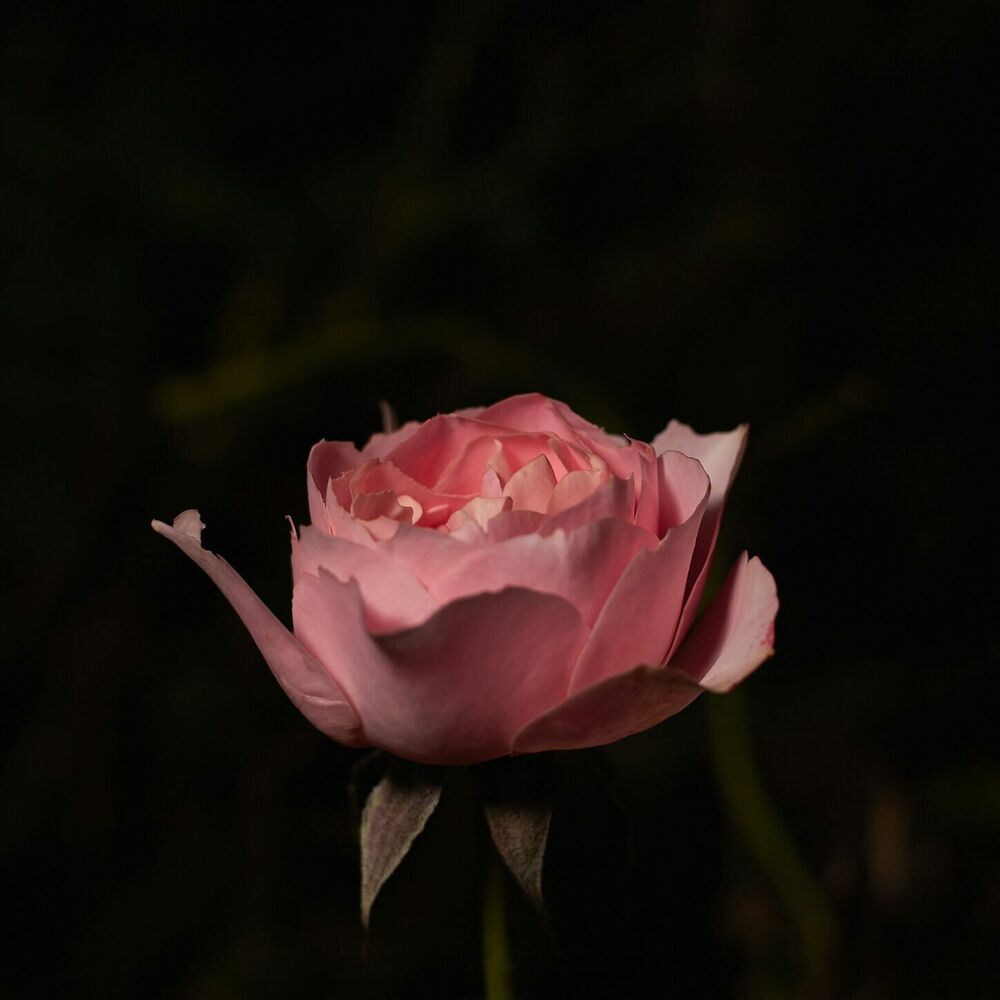 Picture of Depth Of My Love