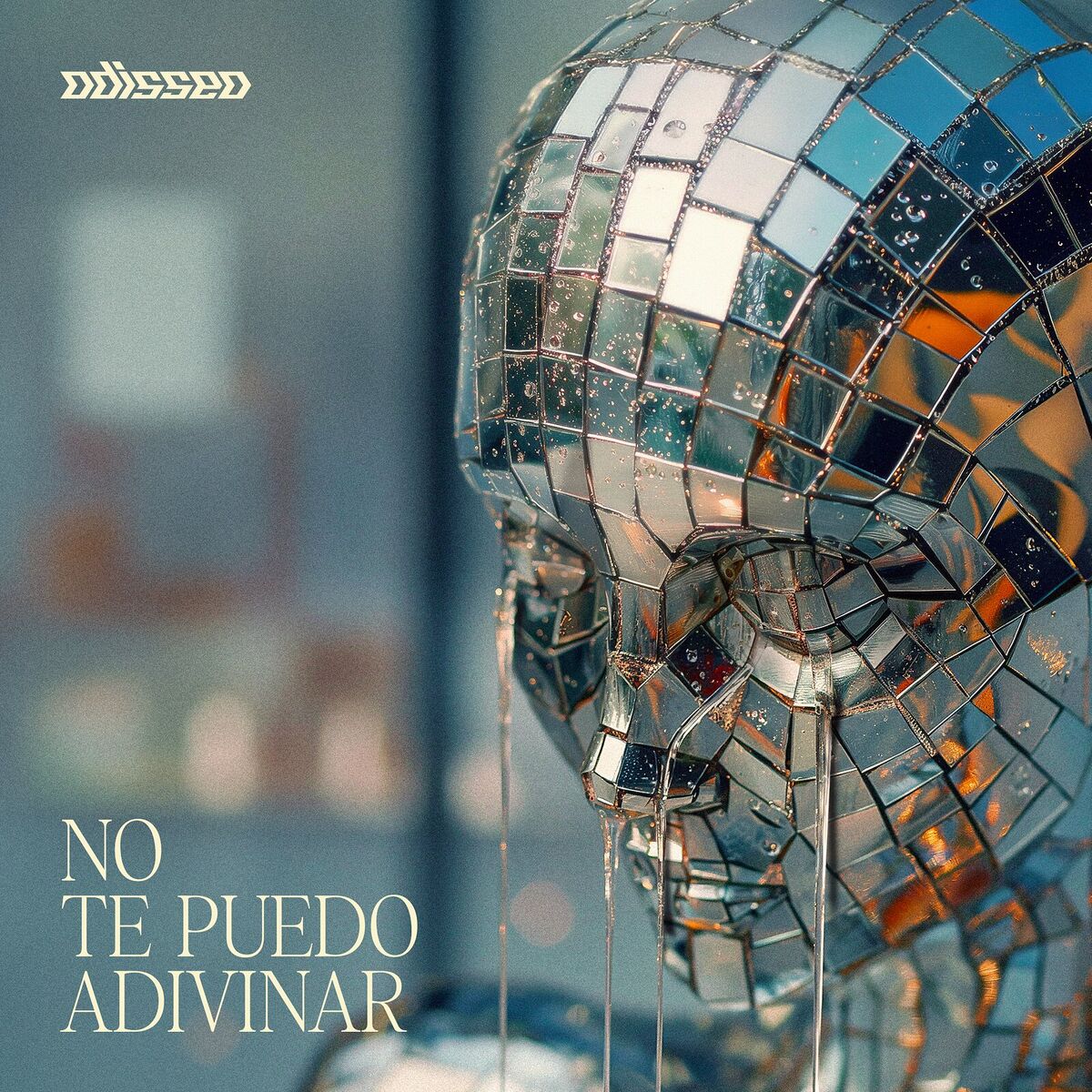 Album cover of No Te Puedo Adivinar