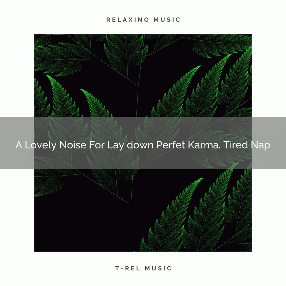 Picture of A Lovely Noise For Lay down Perfet Karma, Tired Nap
