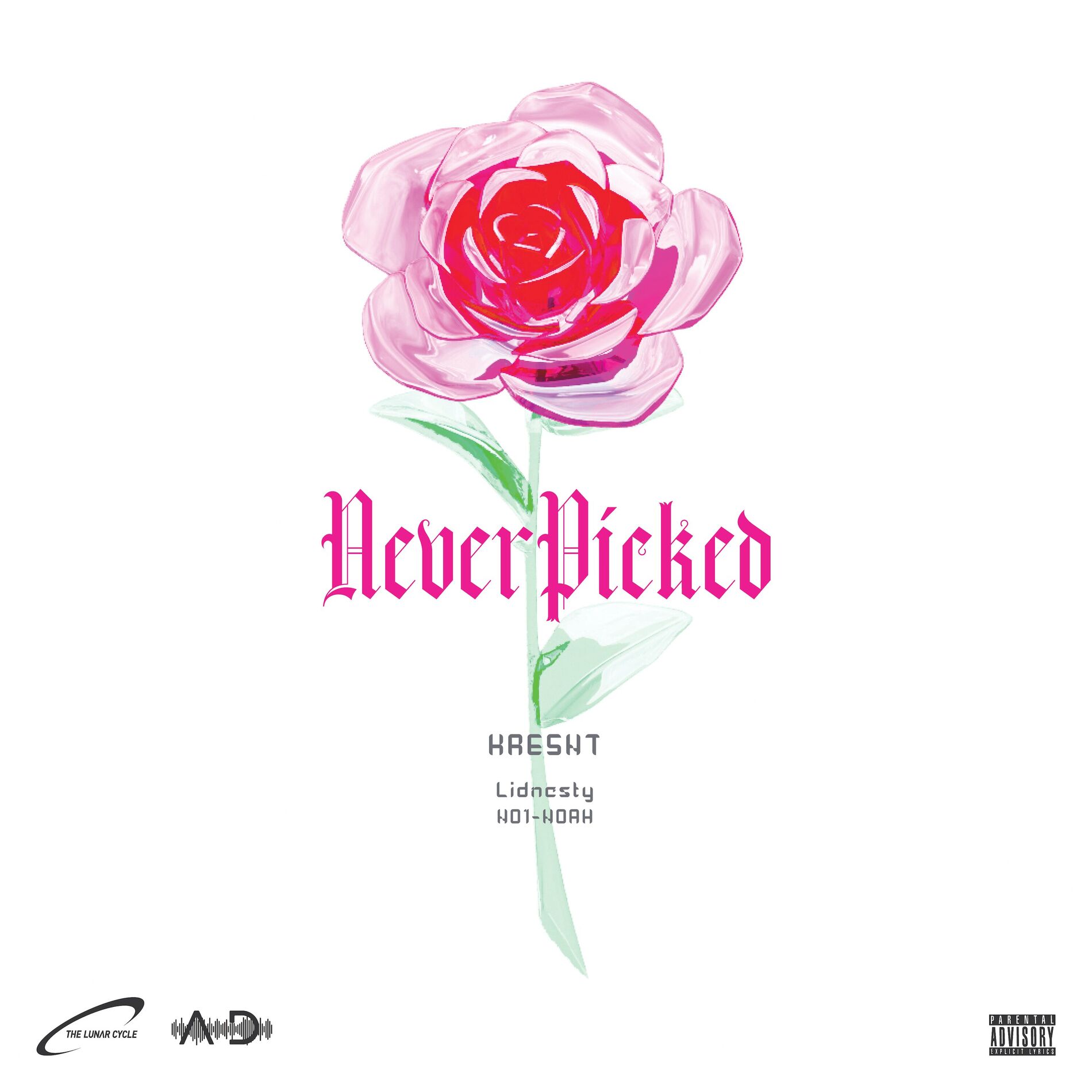 Album cover of NEVER PICKED (feat. Lidnesty)