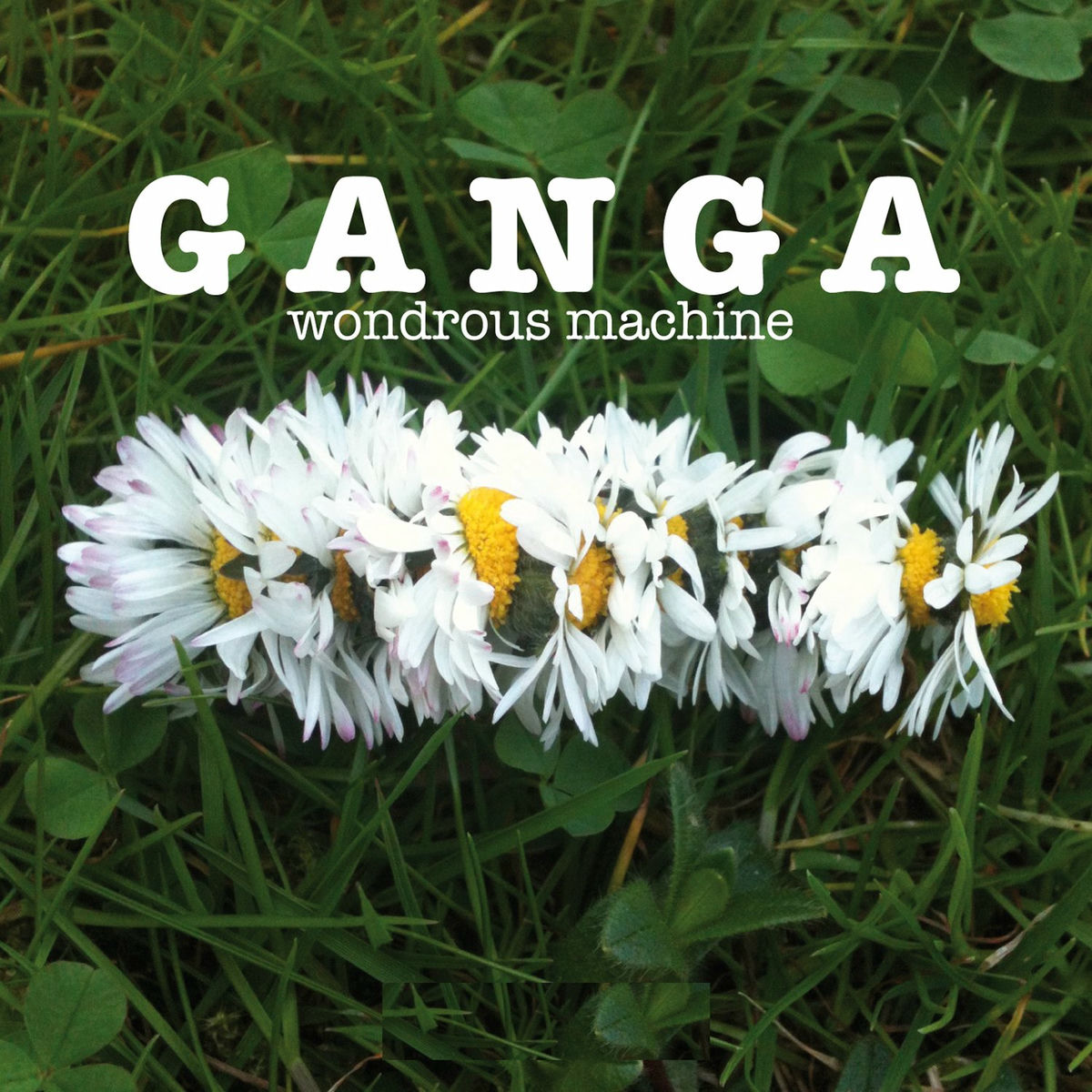 Album cover of Cold Wind Blowing