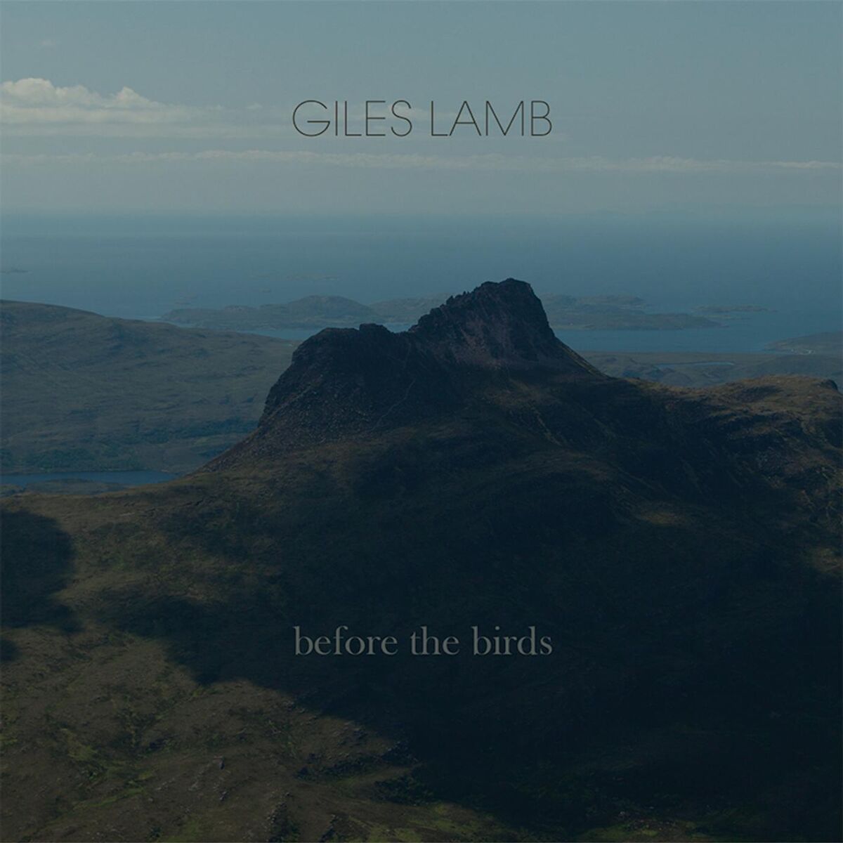 Album cover of Before the Birds