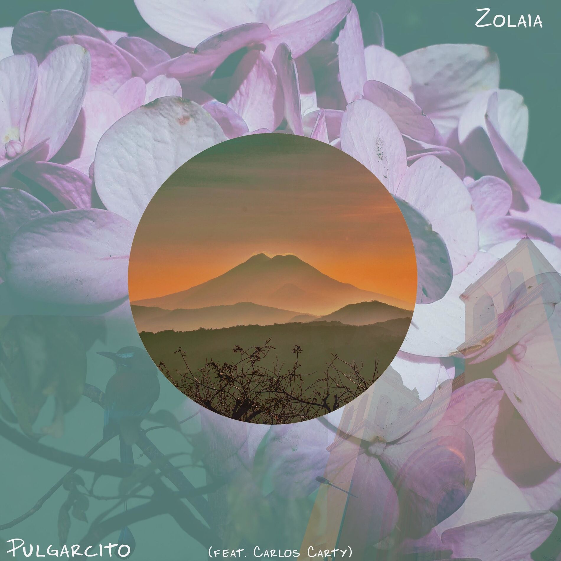Album cover of Pulgarcito (feat. Carlos Carty)