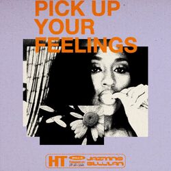 Cover of Pick Up Your Feelings