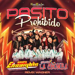 Cover of Remix Wagner Pasito Prohibido